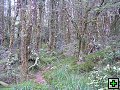 thn_NZ leden-unor 2006 291.jpg